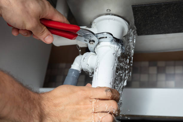 Best Professional water damage repair  in Penryn, CA