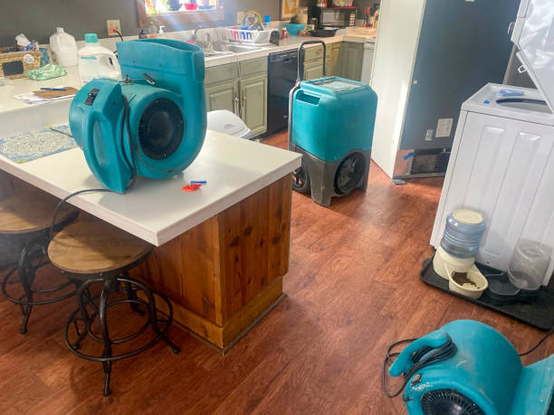  Penryn, CA Water damage restoration Pros