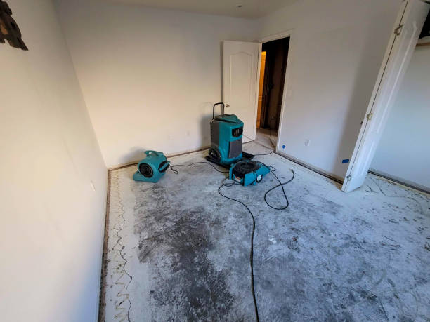 Best Water damage restoration process  in Penryn, CA