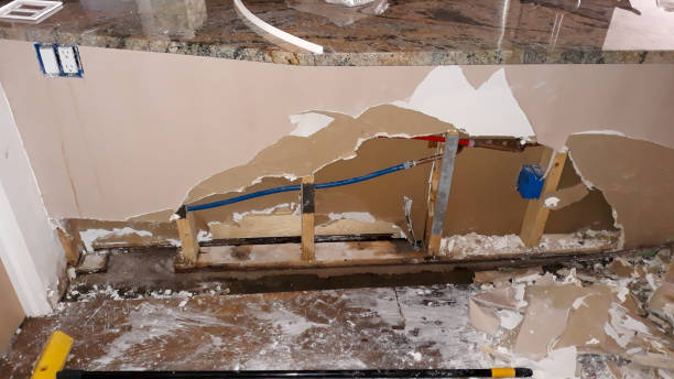 Best Ceiling water damage repair  in Penryn, CA