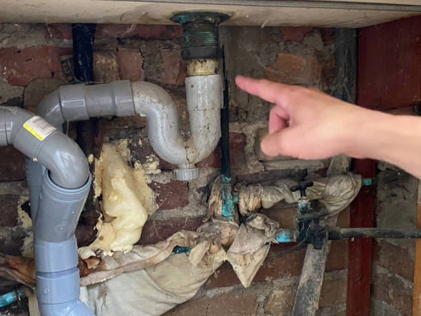 Best Water damage contractors near me  in Penryn, CA