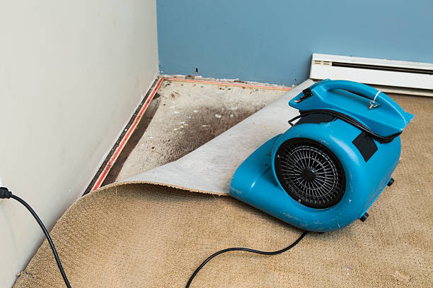 Best Flood damage cleanup  in Penryn, CA